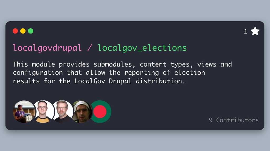 LocalGov Elections Repo Screenshot