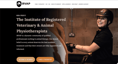 Screenshot of IRVAP homepage